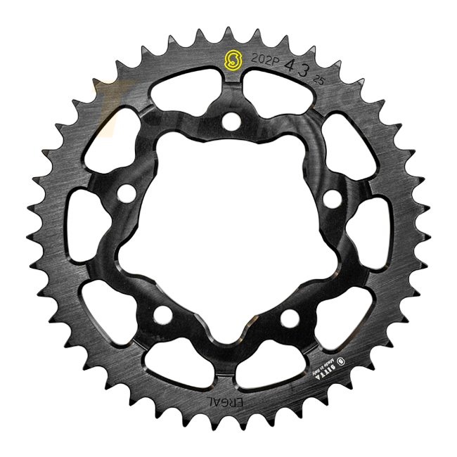 Sitta Aluminium pignon Aprilia RSV4/1100 Factory/R/RR/RF (09-25) (202P) – 37-48 dents, pas 525 