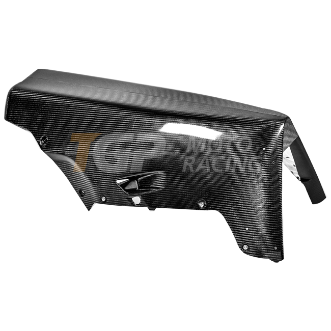 Spoiler de carénage Bugspoiler 200g Carbone AP Carbon Line Ducati Panigale V4 R (2026) 