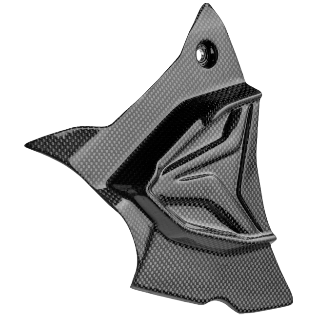 Cache-pignon en carbone LighTech BMW S1000RR K67 (19-25) CARB1945 