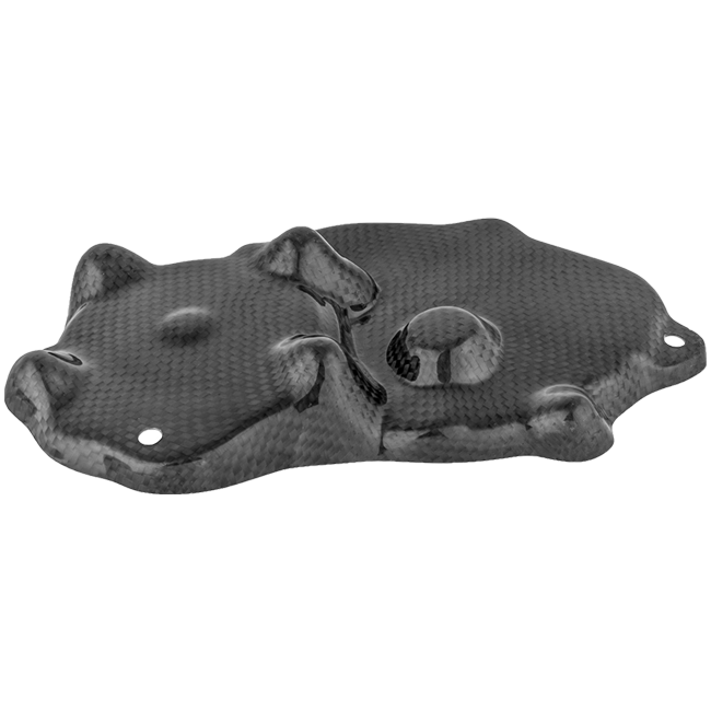 Housse de pick-up en carbone LighTech Kawasaki ZX-6R/636/RR (09-25) CARK9518 