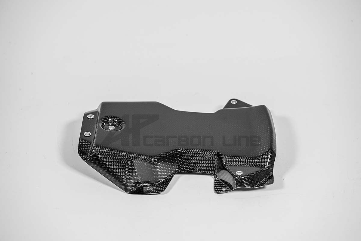 Carénage arrière 200g AP Carbon Line Aprilia RSV4/RR/1100 Factory (21-25) 