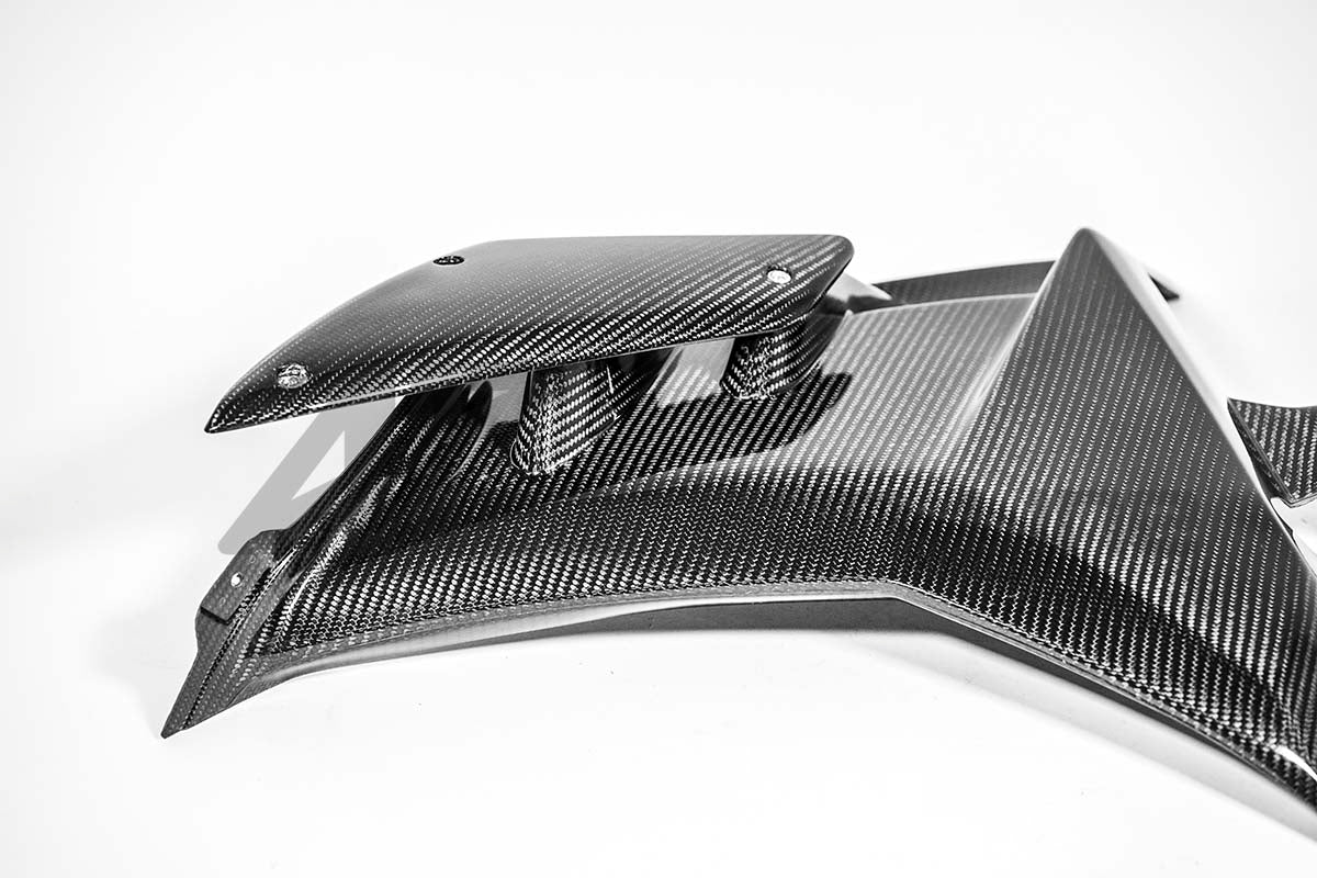 Côté gauche 200g AP Carbon Line Aprilia RSV4/RR/1100 Factory (21-25) 