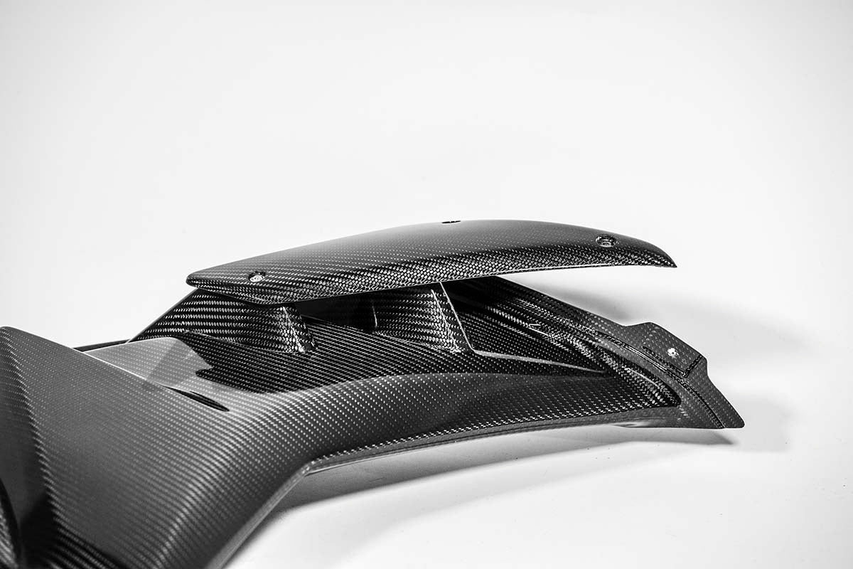 Côté droit 200g AP Carbon Line Aprilia RSV4/RR/1100 Factory (21-25) 