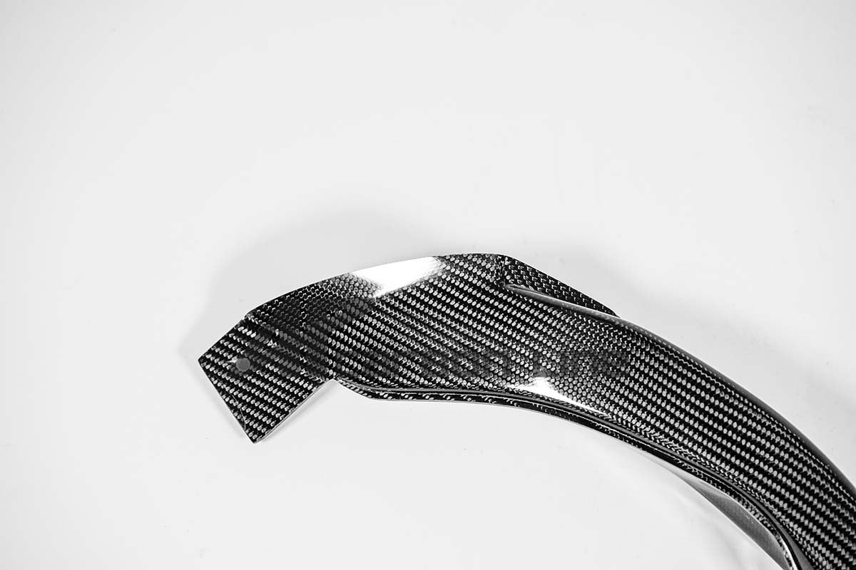 Canaux d'air 200g AP Carbon Line Aprilia RSV4/RR/1100 Factory (21-25) 