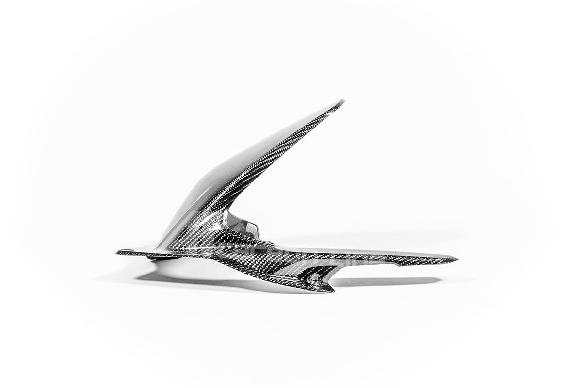 Garde-boue arrière 200g AP Carbon Line Ducati Panigale V4/S (2025) 