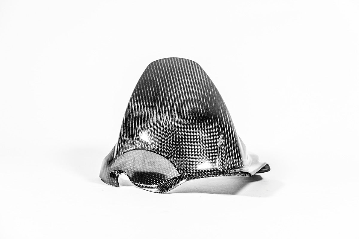 Garde-boue arrière 200g AP Carbon Line Ducati Panigale V4/S (2025) 