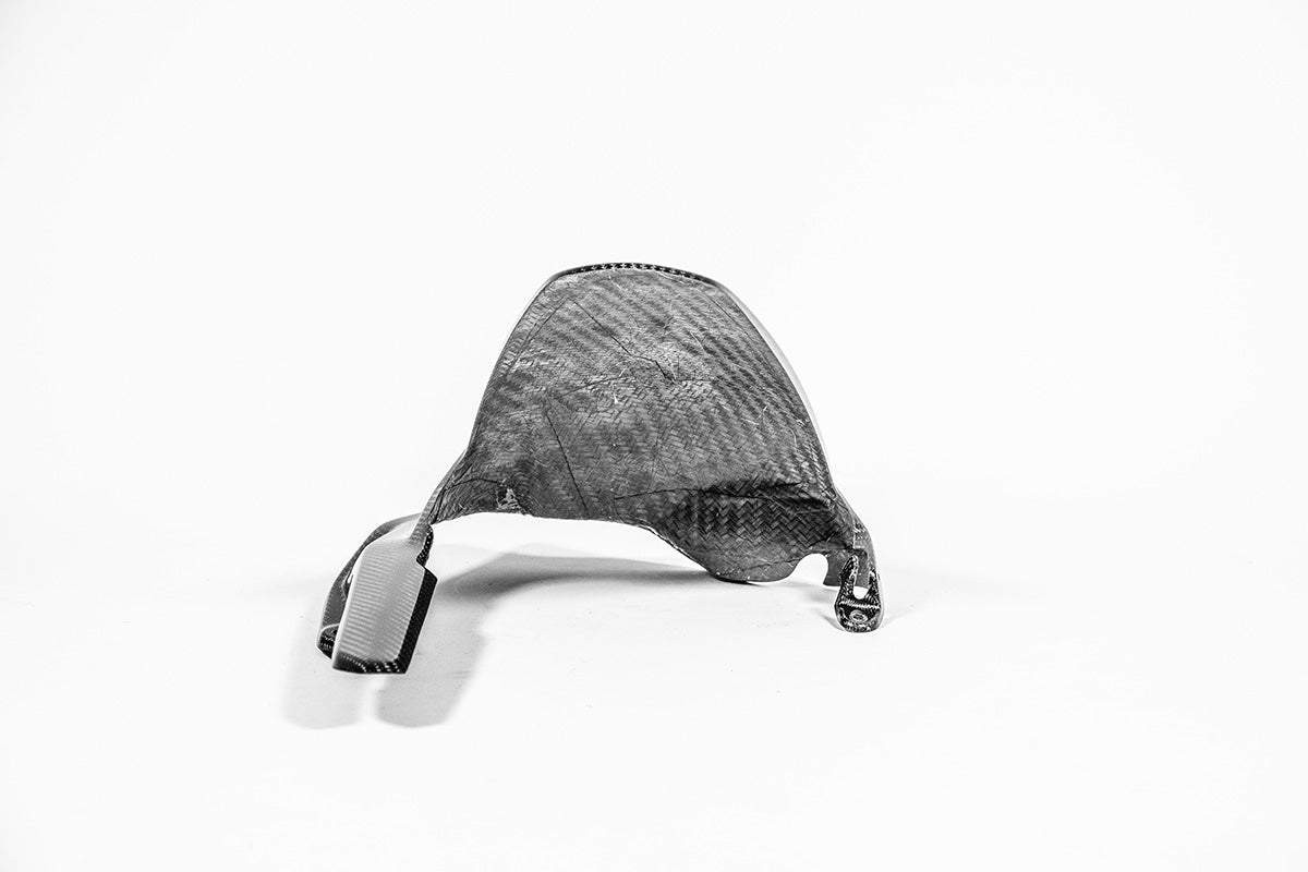 Garde-boue arrière 200g AP Carbon Line Ducati Panigale V4/S (2025) 