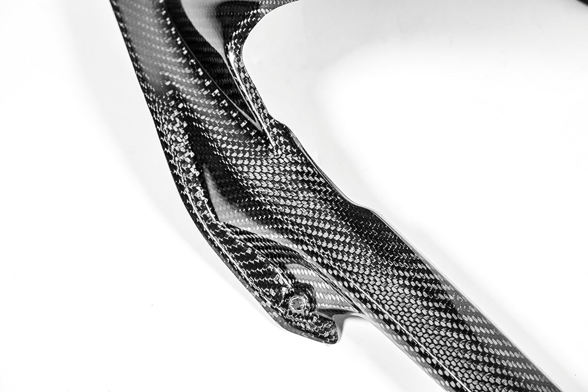 Garde-boue arrière 200g AP Carbon Line Ducati Panigale V4/S (2025) 