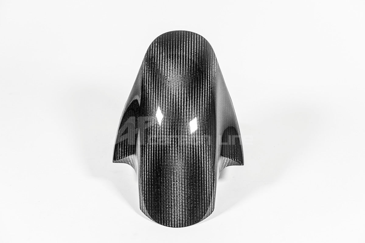 Aile avant 200g AP Carbon Line Ducati Panigale V4/S (2025) 