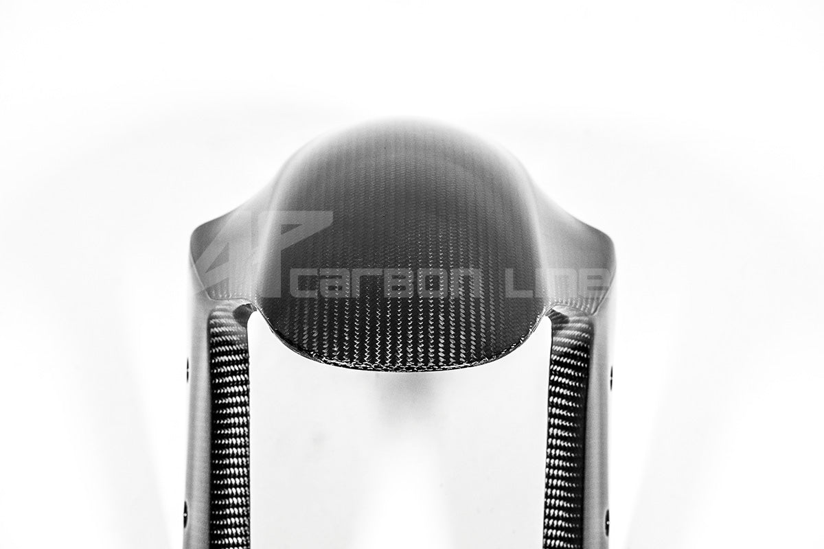 Aile avant 200g AP Carbon Line Ducati Panigale V4/S (2025) 