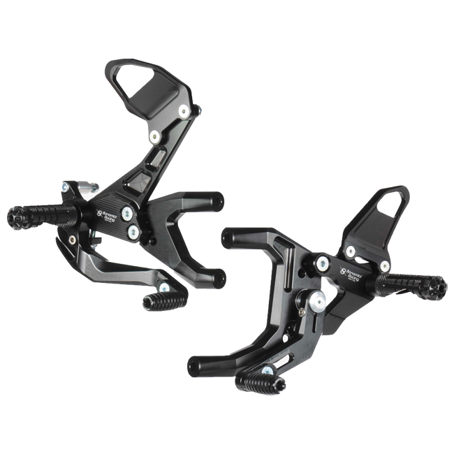 Système de suralimentation Bonamici Racing Ducati Panigale 1299/S (15-18) DV2 