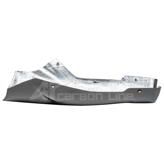 SBK aileron de bug 200g AP Carbon Line Ducati Panigale V4/S/R (22-24) 