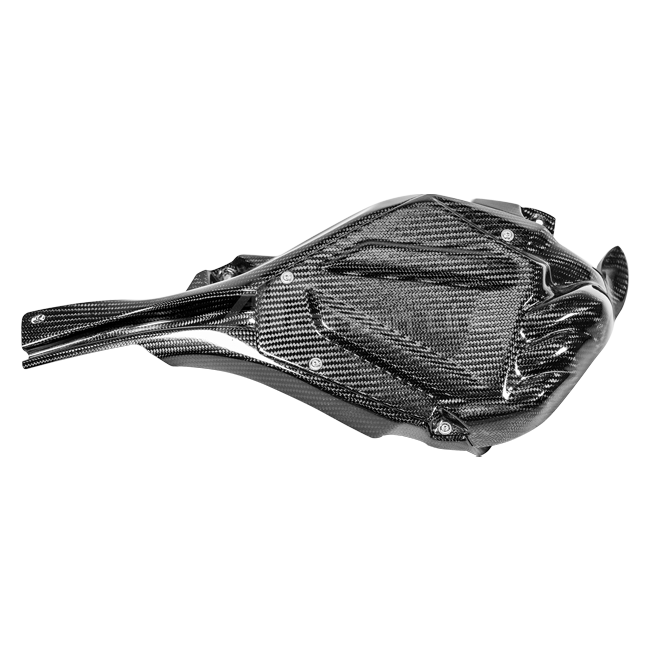 Couverture ECU incl. canal de refroidissement 200g AP Carbon Line Yamaha YZF-R1/M RN65 (20-25) 