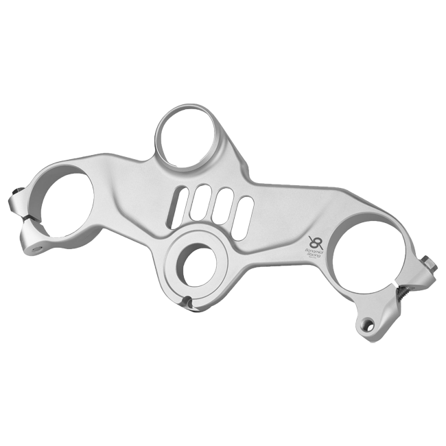 Gabelbridge Street (HAUT) Bonamici Racing Kawasaki ZX-10 R/RR (16-20) PSK1 