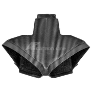 SBK Canal d'air 200g AP Carbon Line Ducati Panigale V4/S/R (22-24) 