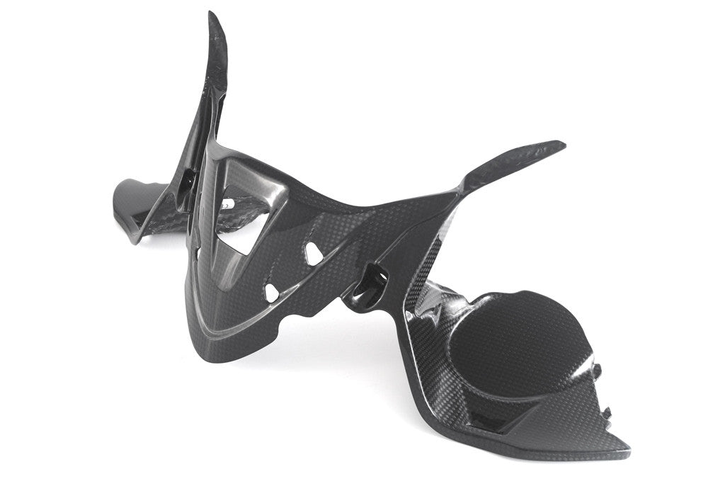 Couvercle d'instrument en carbone Fullsix Ducati Panigale 959 (16-19) 