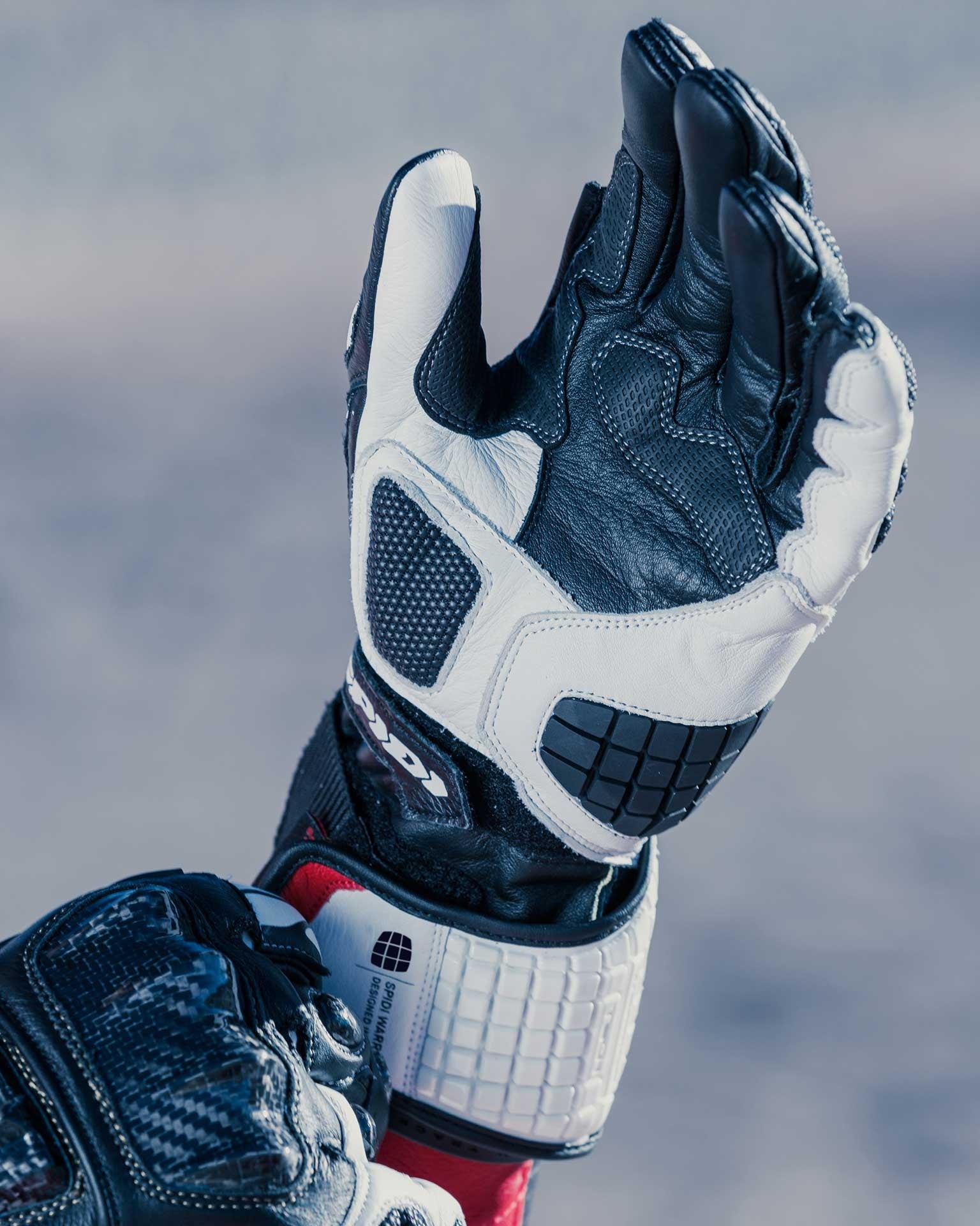 Gants de moto en cuir Spidi Carbo Track Evo Racing | Homme | Noir/Blanc | A203011 
