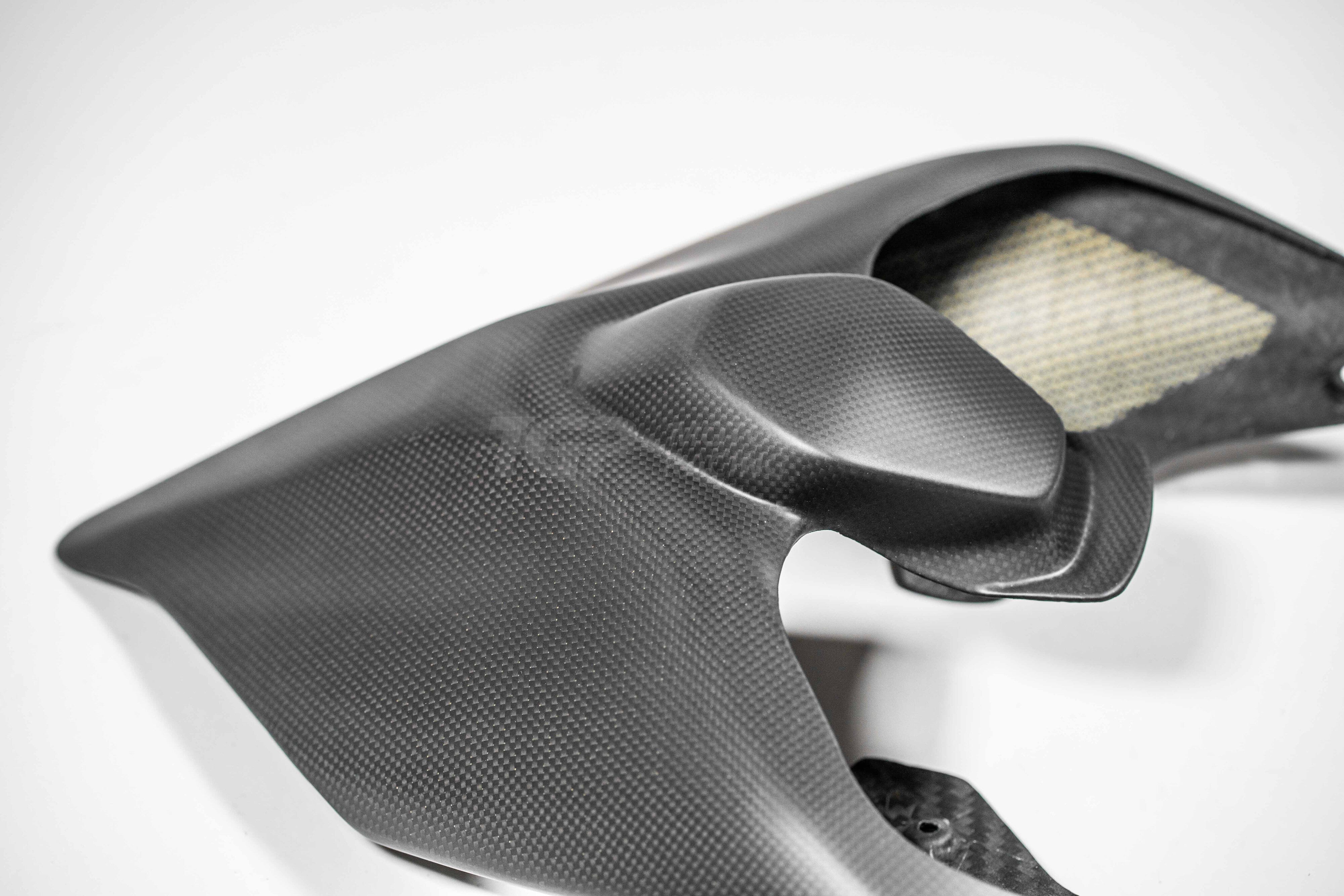 Carénage arrière en carbone PlasticBike Ducati Panigale V2 955 (20-24) 