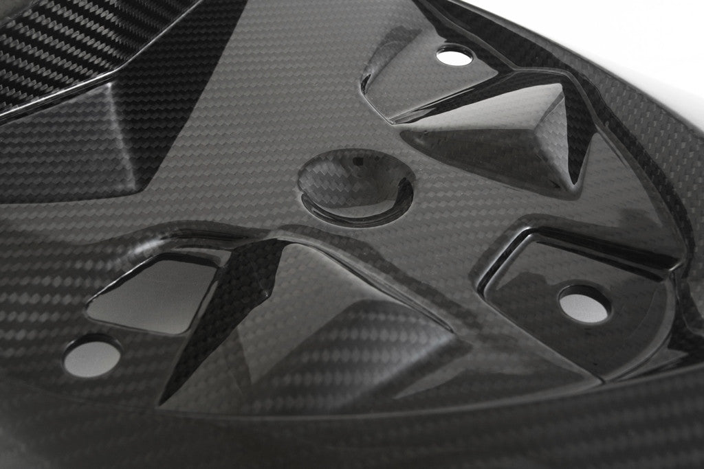 Sous-ensemble arrière en carbone Fullsix BMW S1000RR K46 (15-18) 
