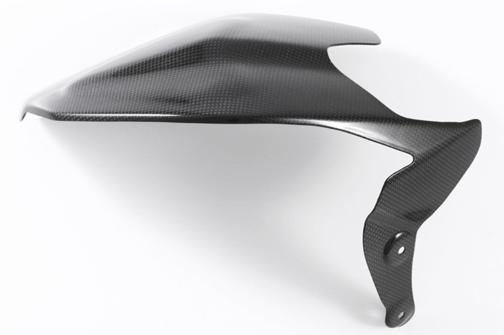 Couvercle de balancement "SSP" en carbone Fullsix Ducati Panigale 1199/R/S (12-17) 