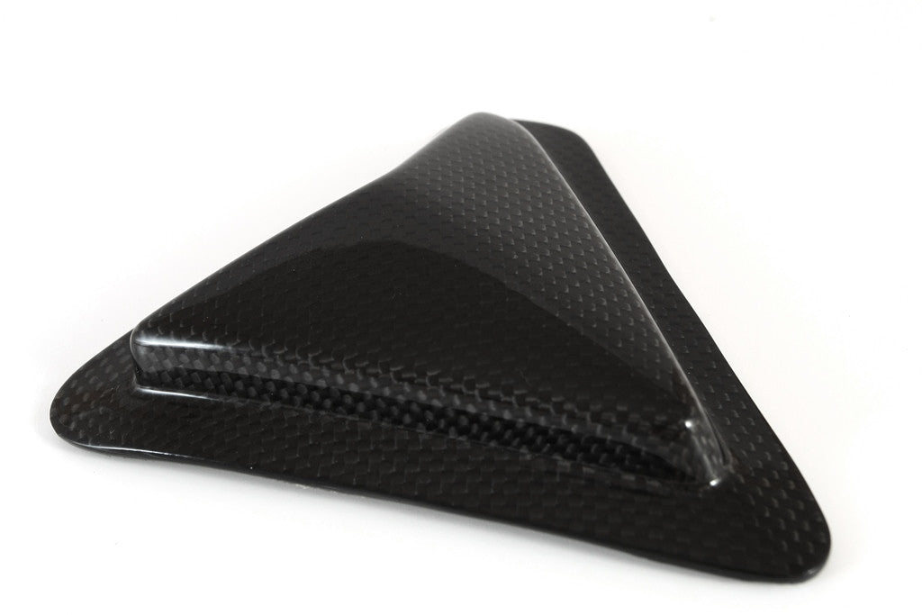Protection de balancement en carbone Fullsix pour Ducati Panigale 1299/S (15-18) 